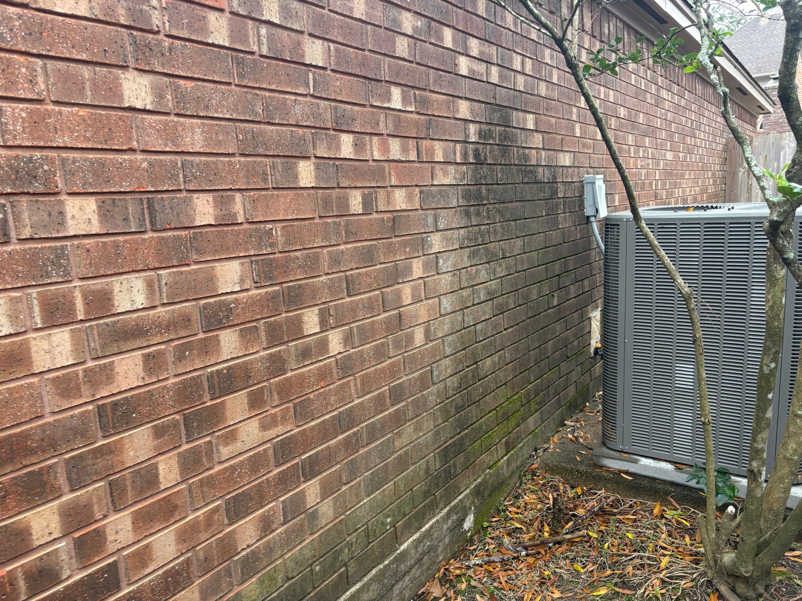 Brick wall + gate restoration — before