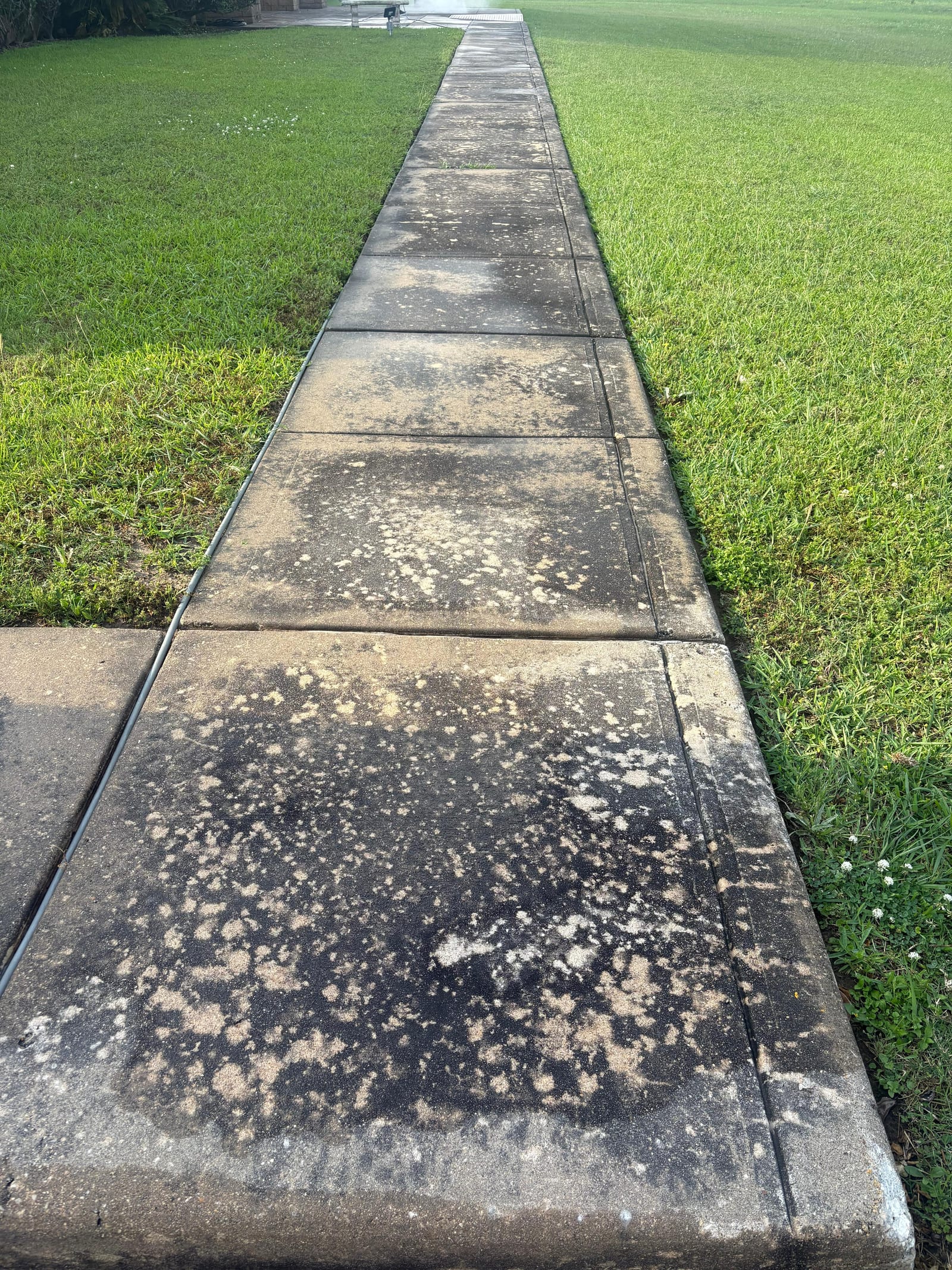 Sidewalk + brick edging — before